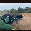 Harvesting with ECODA 2025