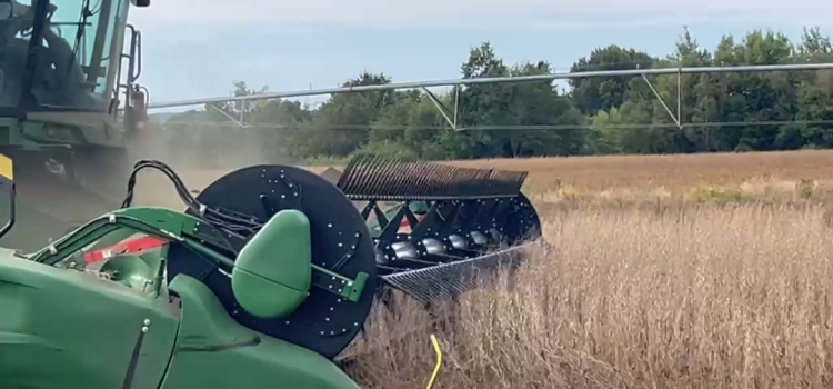 Harvesting with ECODA 2025 Tractors harvesting.