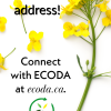 New ECODA web address