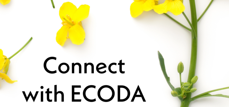 New ECODA web address