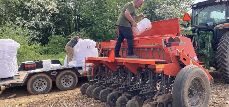 Spring planting! ECODA planting in the spring.