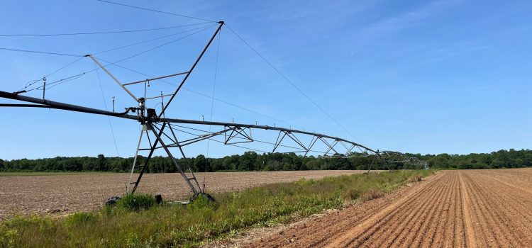 Till or No Till Till or no till - ECODA fields.