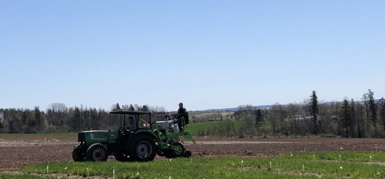 Open Farm Day / la Journée agricole portes ouvertes