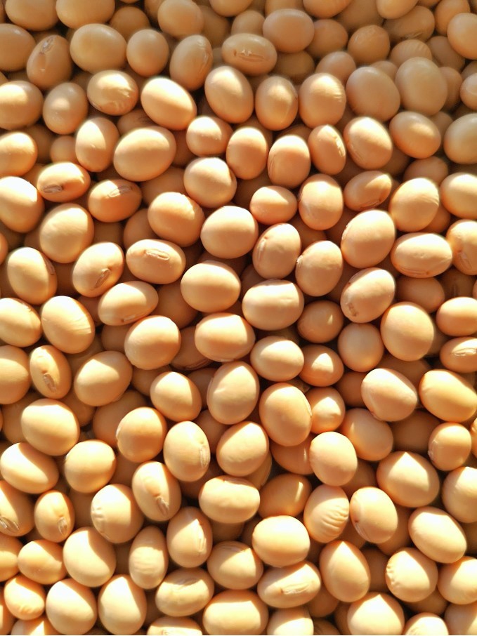 Soybeans.